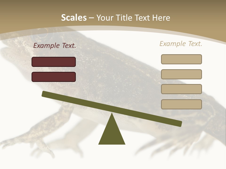 Creature White Background Amphibian PowerPoint Template