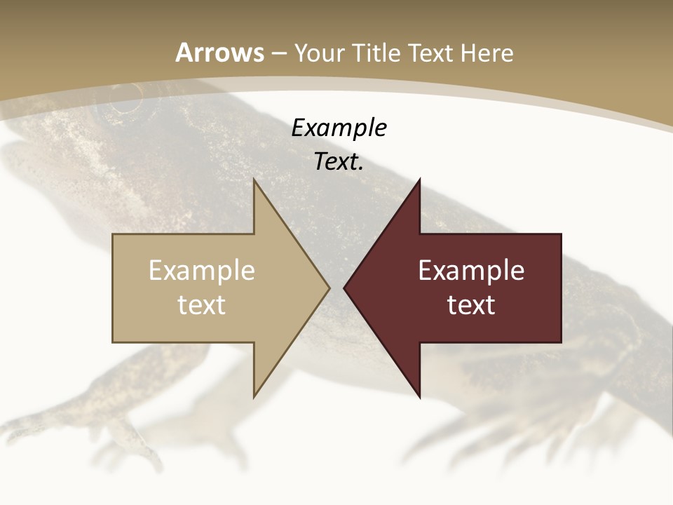 Creature White Background Amphibian PowerPoint Template