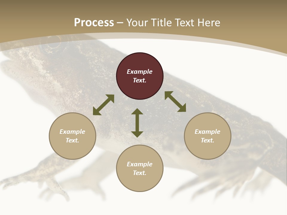 Creature White Background Amphibian PowerPoint Template