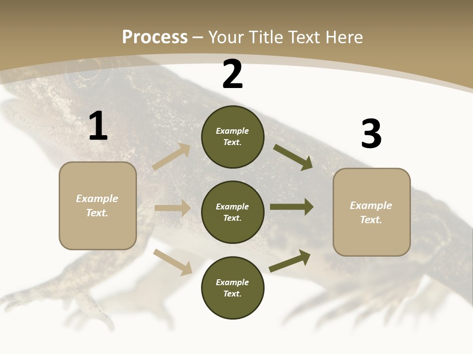 Creature White Background Amphibian PowerPoint Template