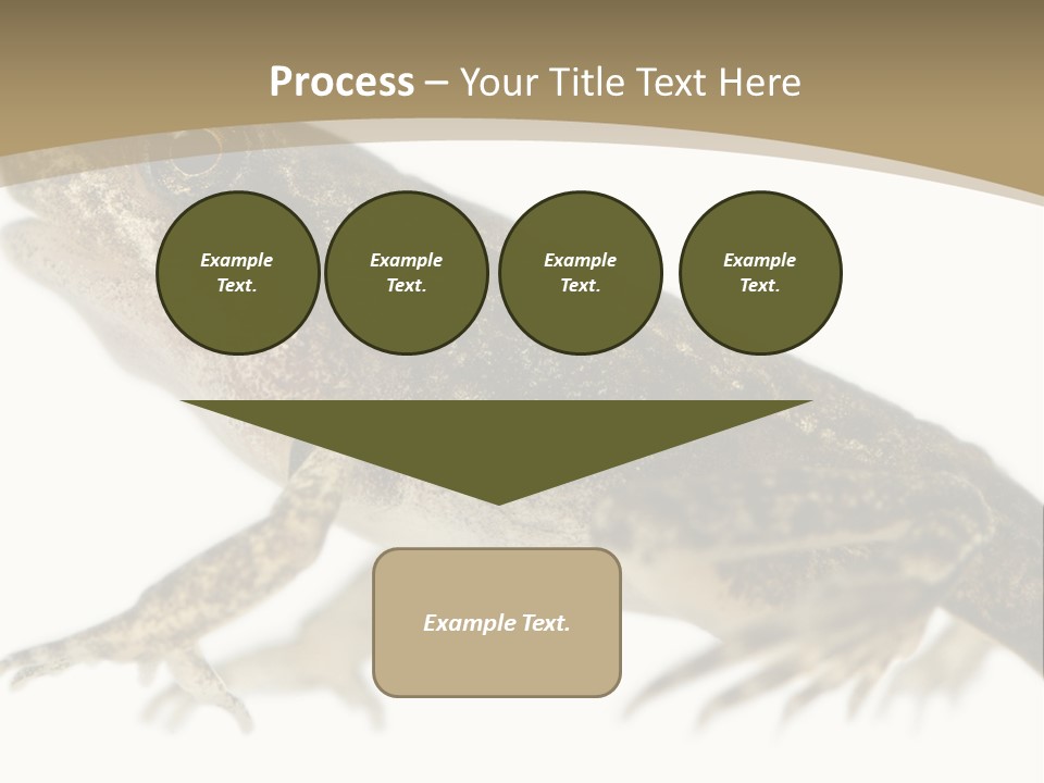 Creature White Background Amphibian PowerPoint Template