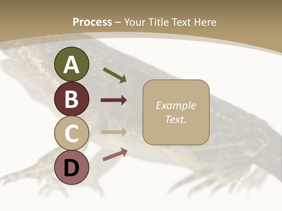 Creature White Background Amphibian PowerPoint Template