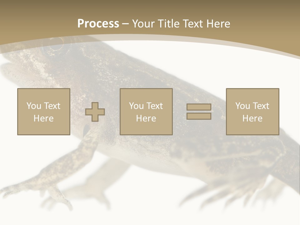 Creature White Background Amphibian PowerPoint Template