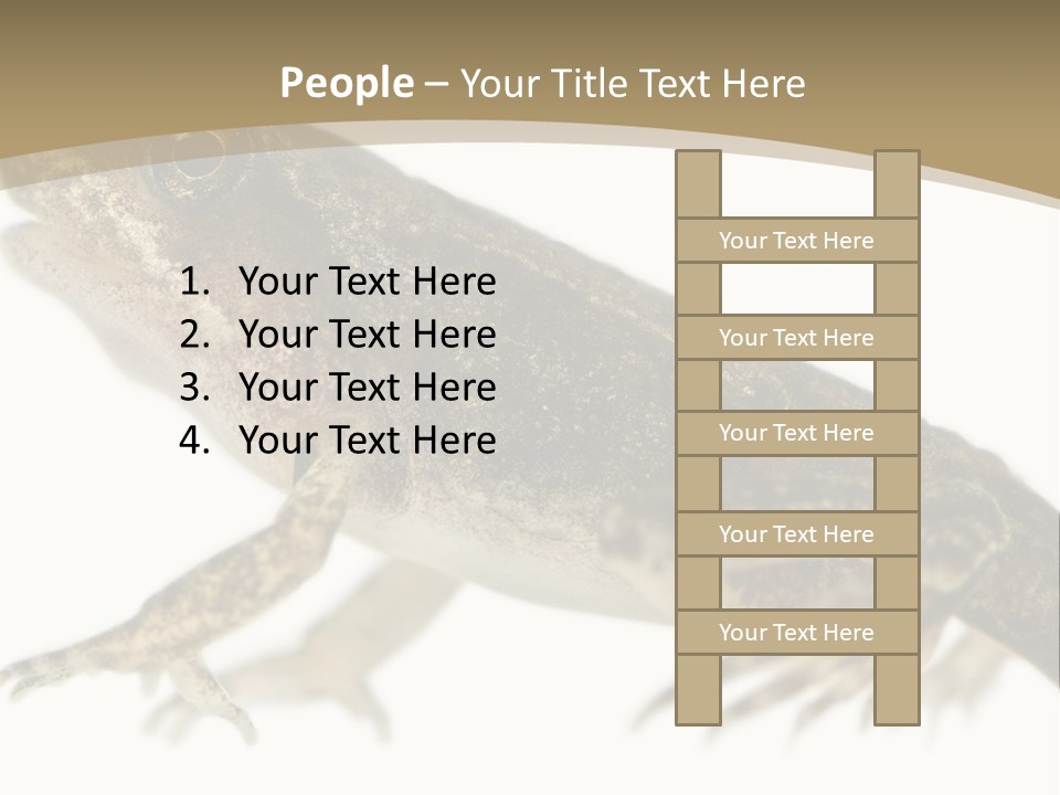 Creature White Background Amphibian PowerPoint Template