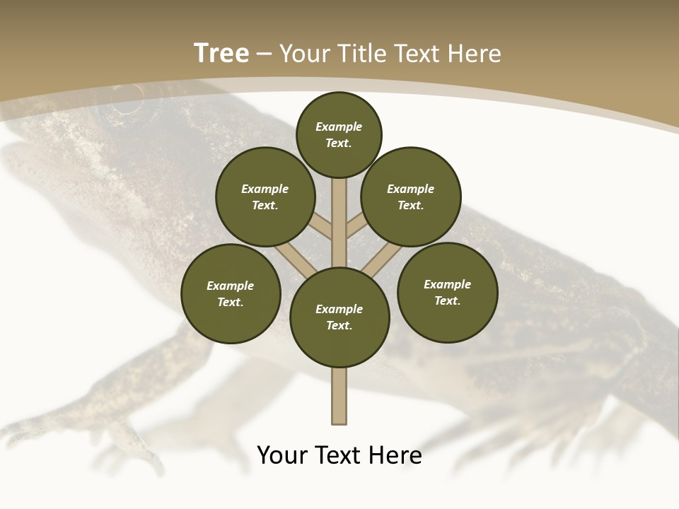 Creature White Background Amphibian PowerPoint Template