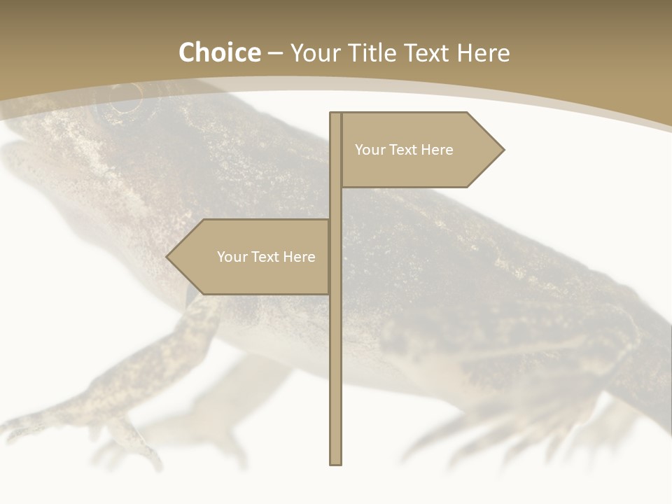 Creature White Background Amphibian PowerPoint Template