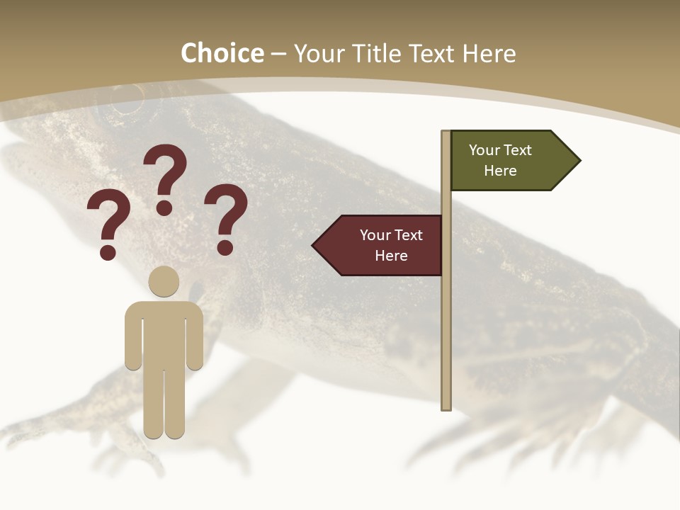 Creature White Background Amphibian PowerPoint Template