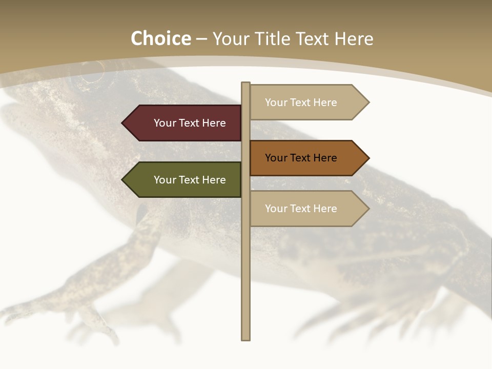 Creature White Background Amphibian PowerPoint Template