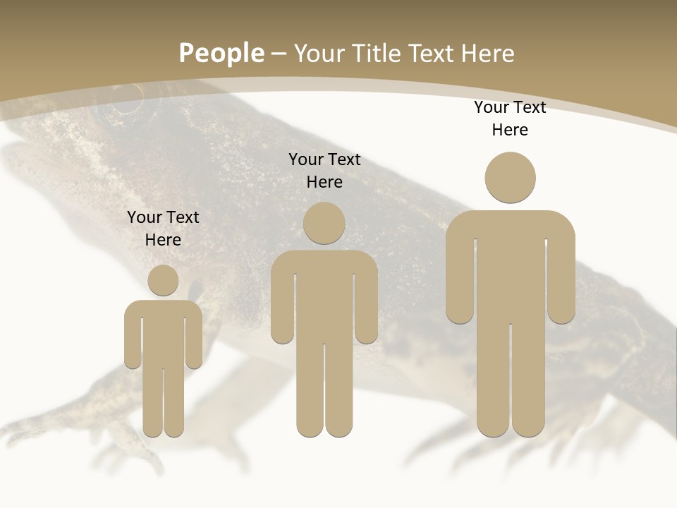 Creature White Background Amphibian PowerPoint Template