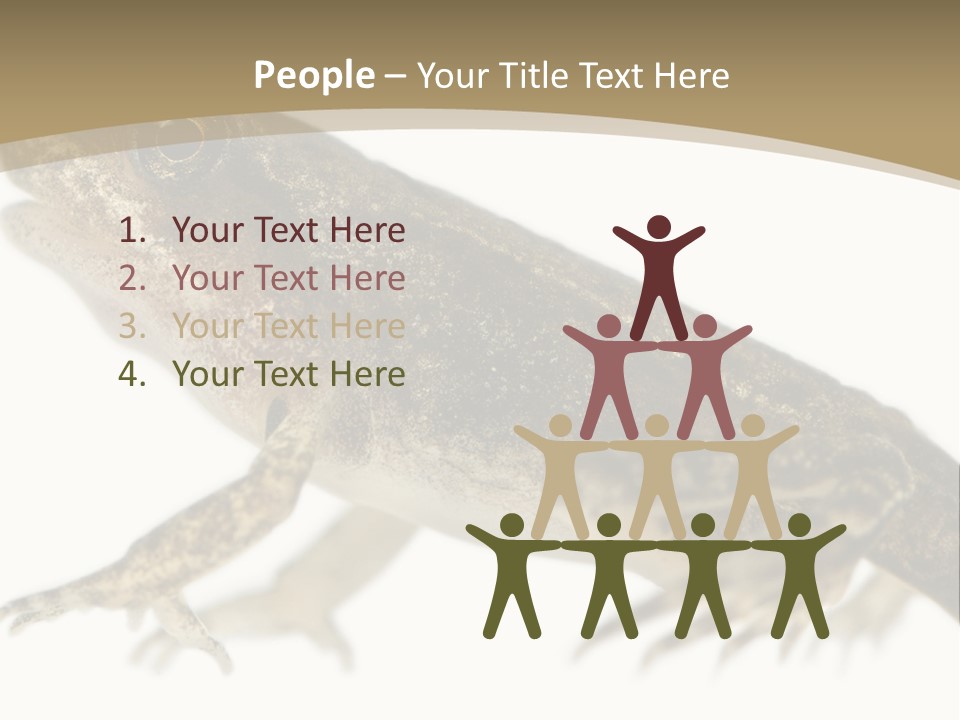 Creature White Background Amphibian PowerPoint Template