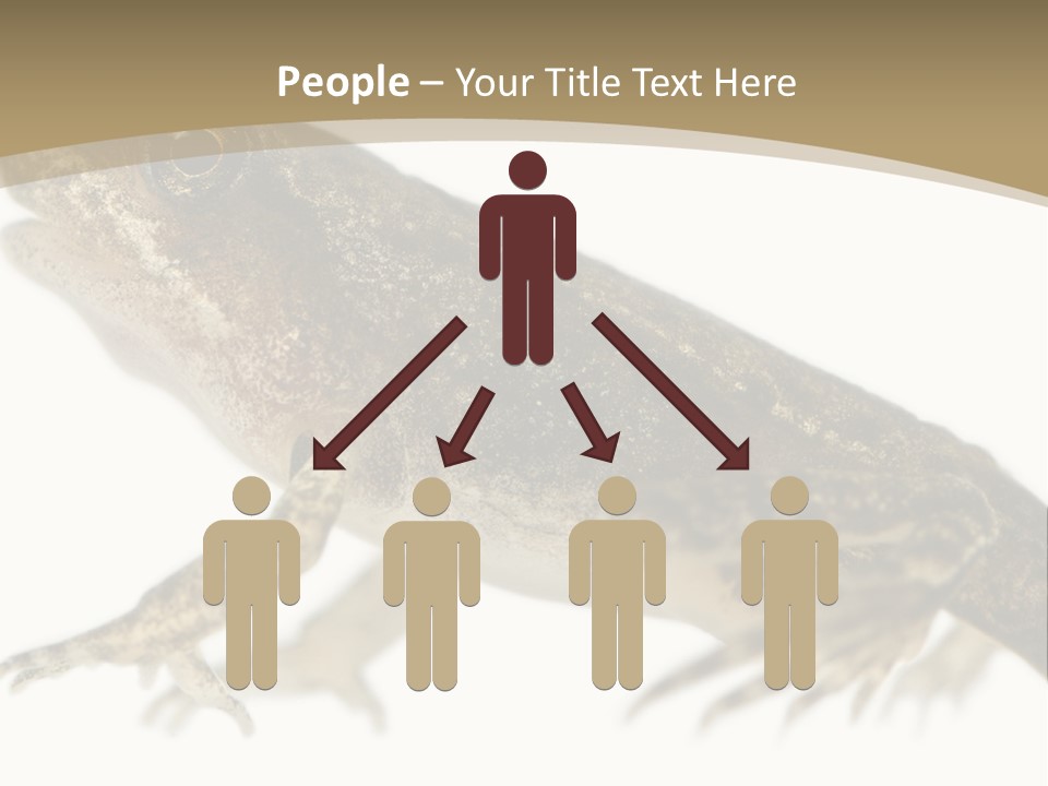 Creature White Background Amphibian PowerPoint Template