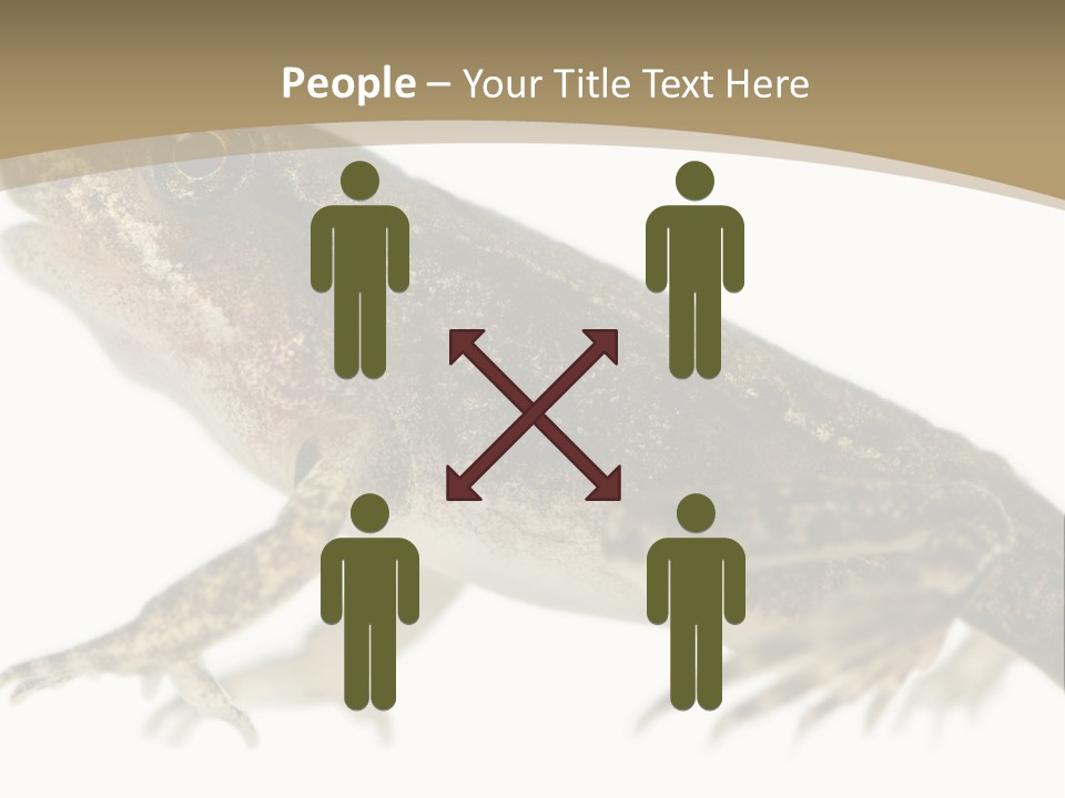 Creature White Background Amphibian PowerPoint Template