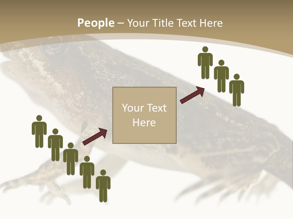 Creature White Background Amphibian PowerPoint Template