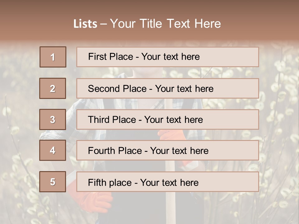 Spring Chequered Gloves PowerPoint Template