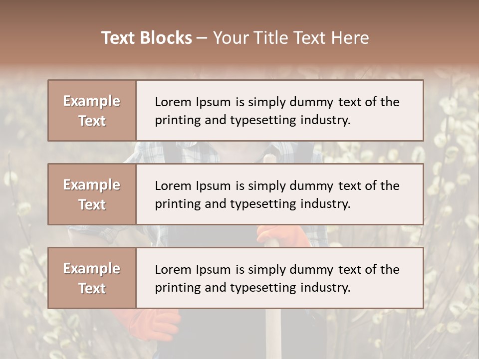 Spring Chequered Gloves PowerPoint Template