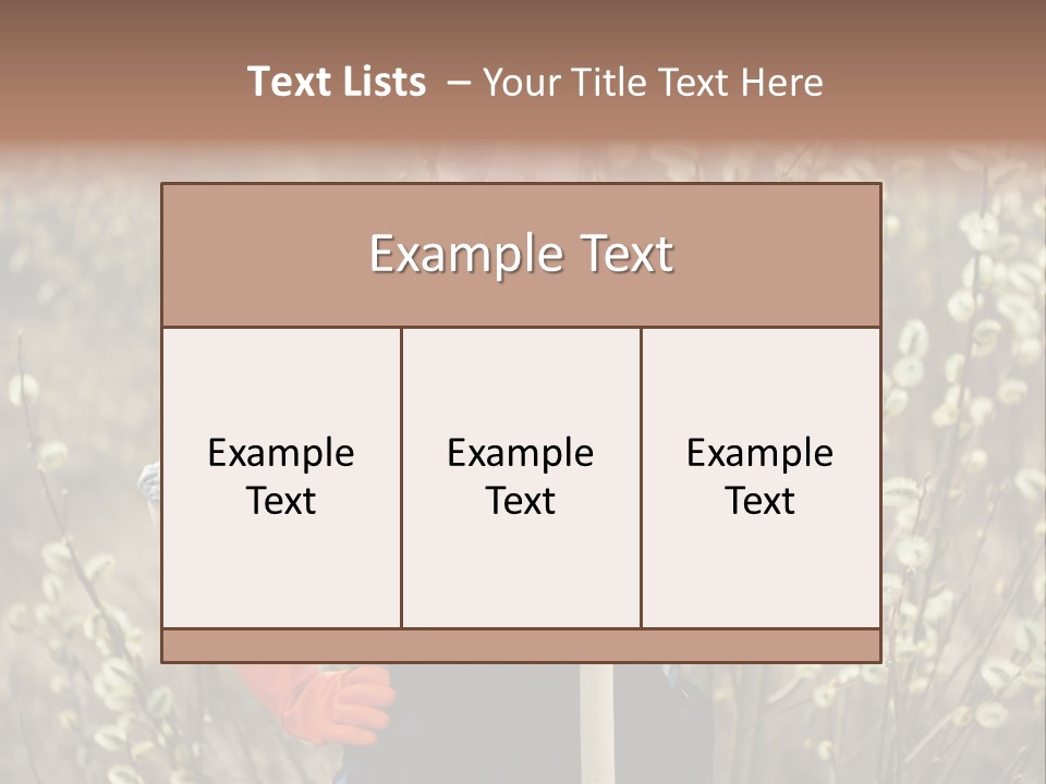Spring Chequered Gloves PowerPoint Template