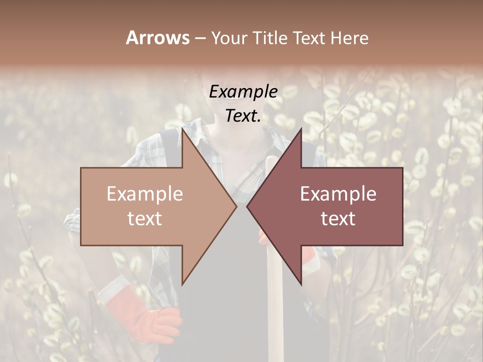 Spring Chequered Gloves PowerPoint Template