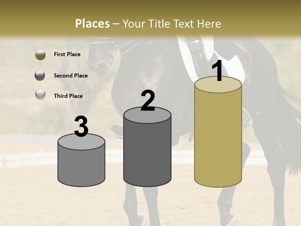 Bridle Dressing Dapple PowerPoint Template