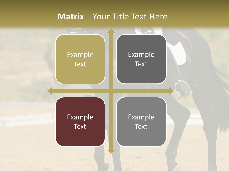 Bridle Dressing Dapple PowerPoint Template