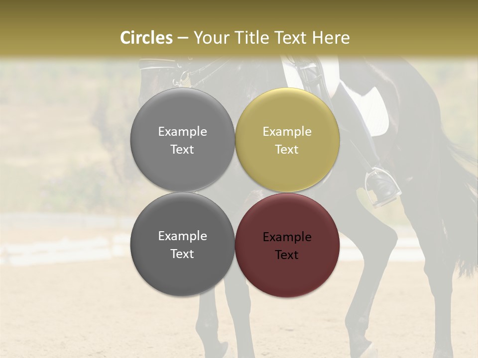 Bridle Dressing Dapple PowerPoint Template