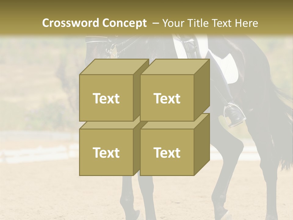 Bridle Dressing Dapple PowerPoint Template