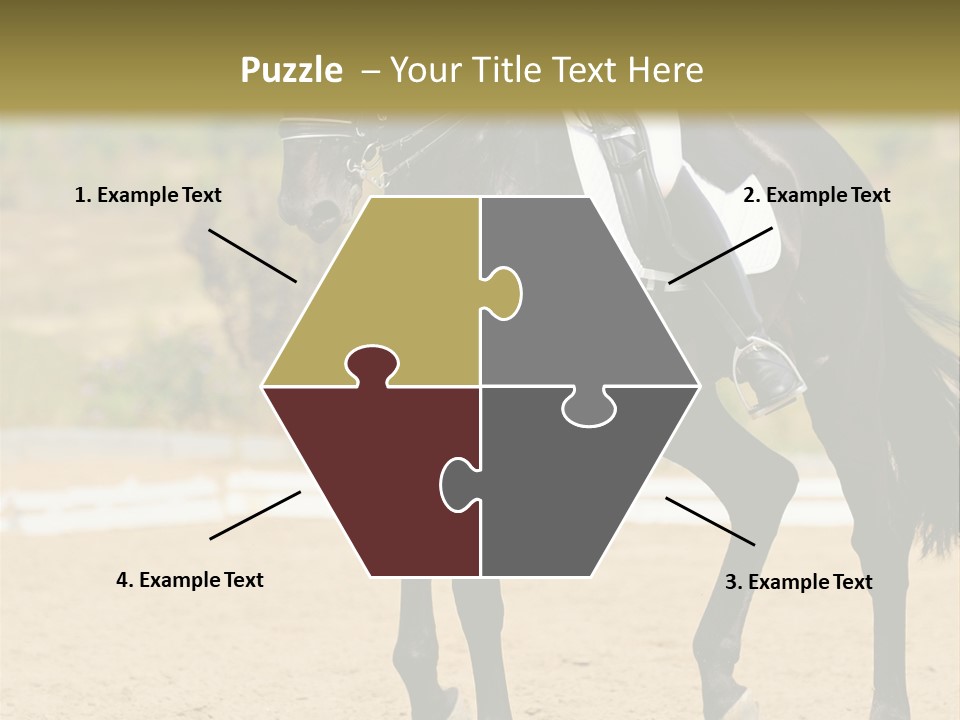 Bridle Dressing Dapple PowerPoint Template