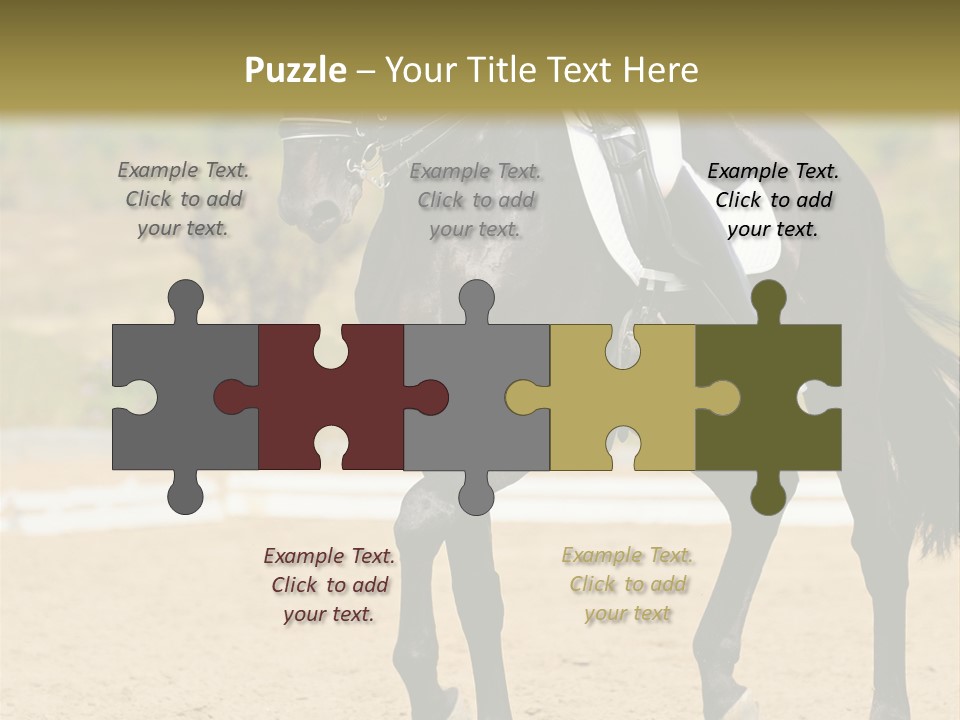 Bridle Dressing Dapple PowerPoint Template