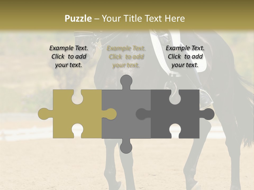 Bridle Dressing Dapple PowerPoint Template