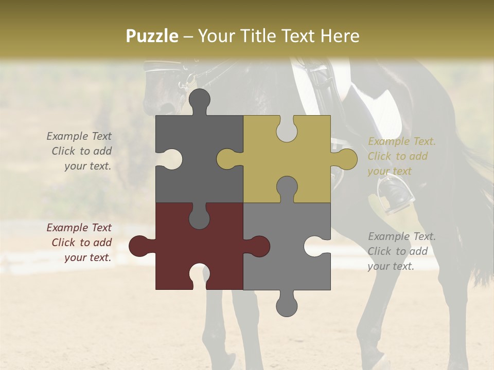 Bridle Dressing Dapple PowerPoint Template