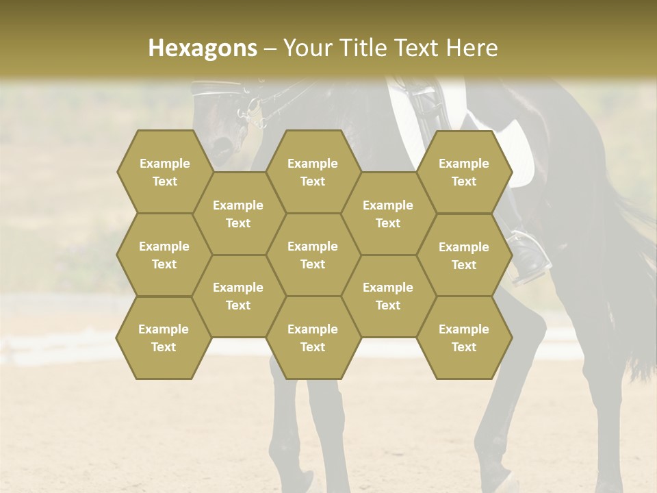 Bridle Dressing Dapple PowerPoint Template