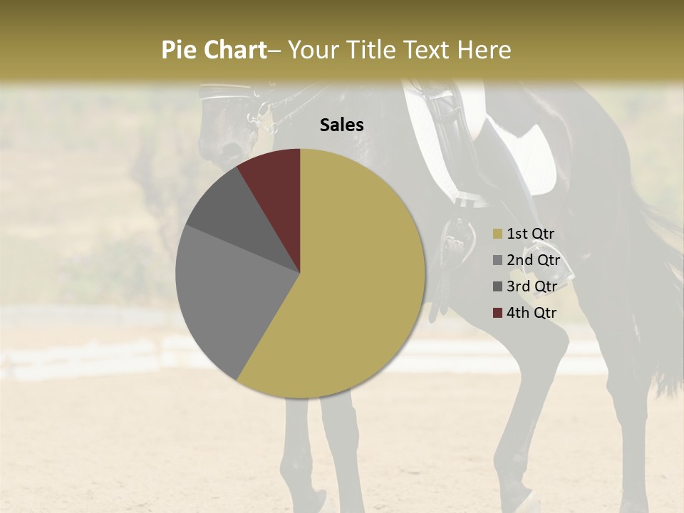 Bridle Dressing Dapple PowerPoint Template