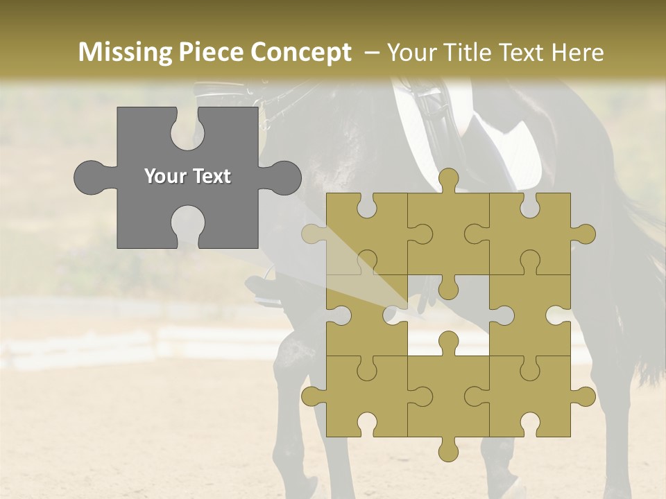 Bridle Dressing Dapple PowerPoint Template