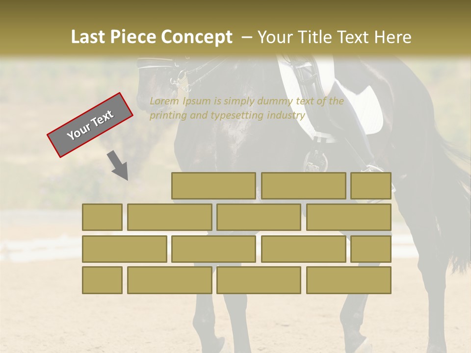 Bridle Dressing Dapple PowerPoint Template
