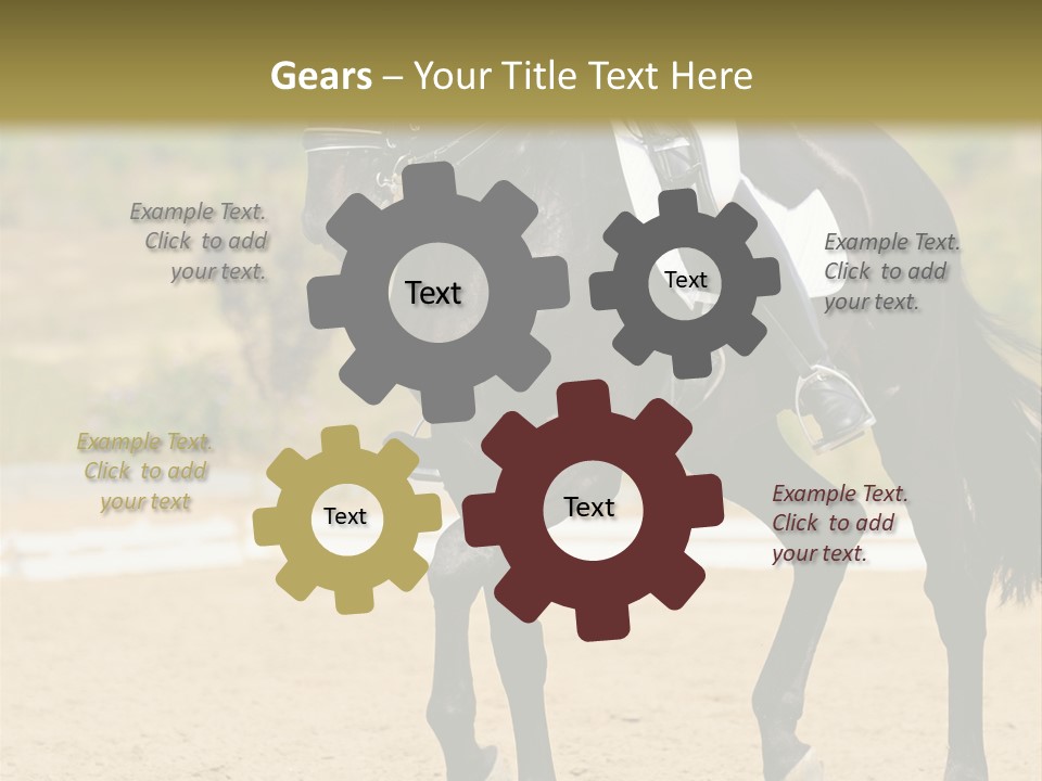 Bridle Dressing Dapple PowerPoint Template