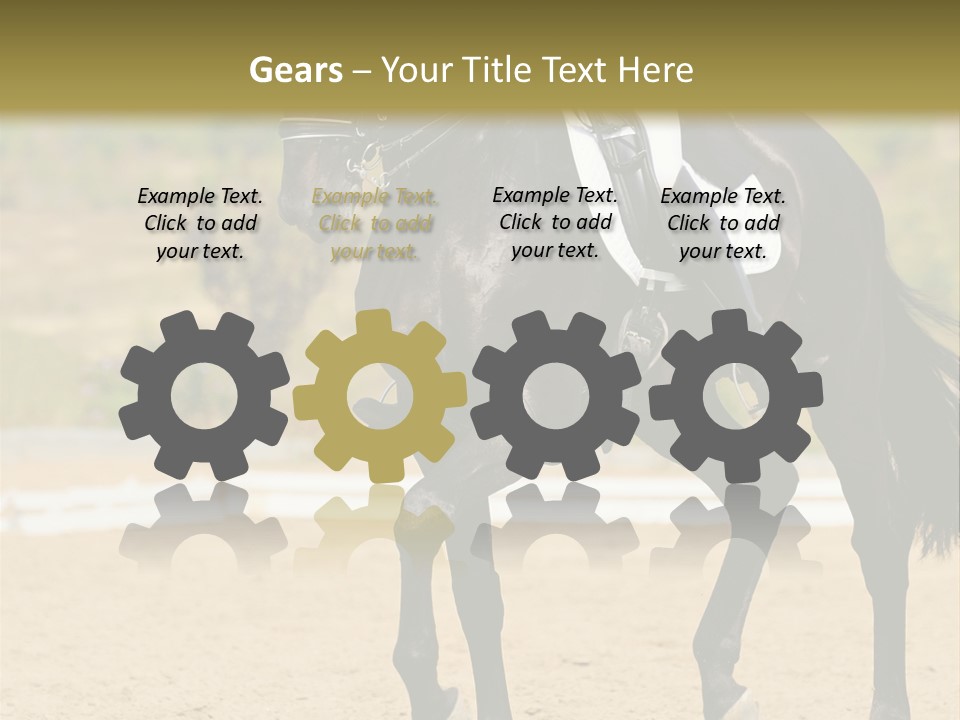 Bridle Dressing Dapple PowerPoint Template