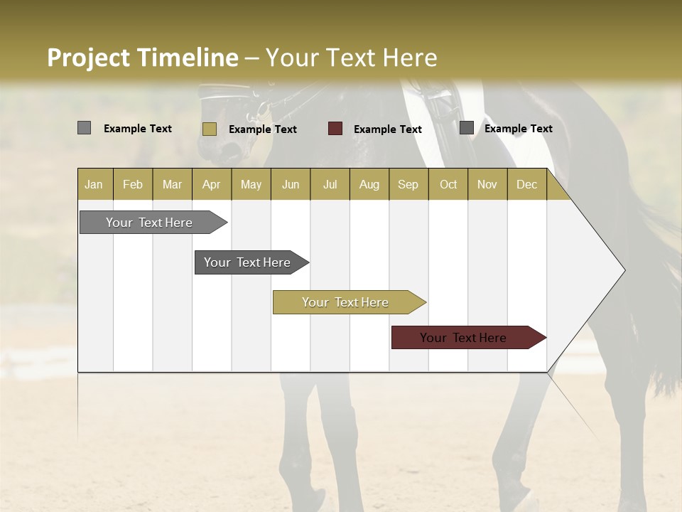Bridle Dressing Dapple PowerPoint Template