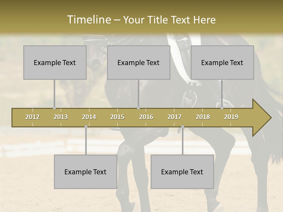 Bridle Dressing Dapple PowerPoint Template