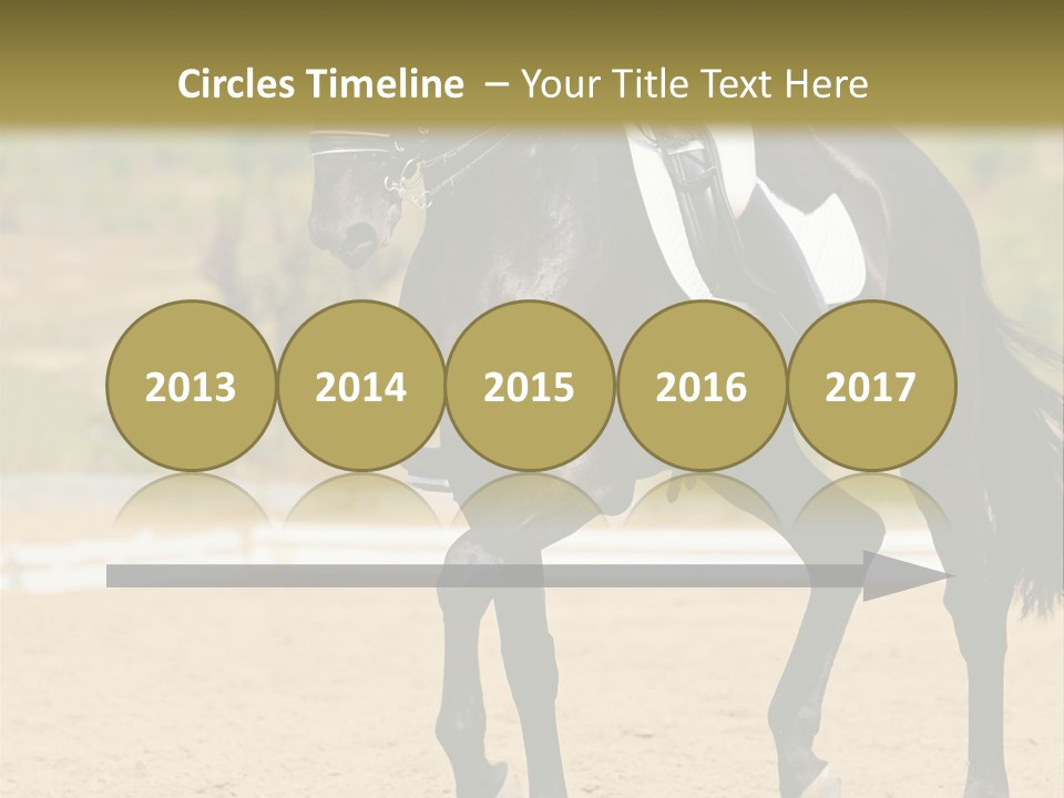 Bridle Dressing Dapple PowerPoint Template