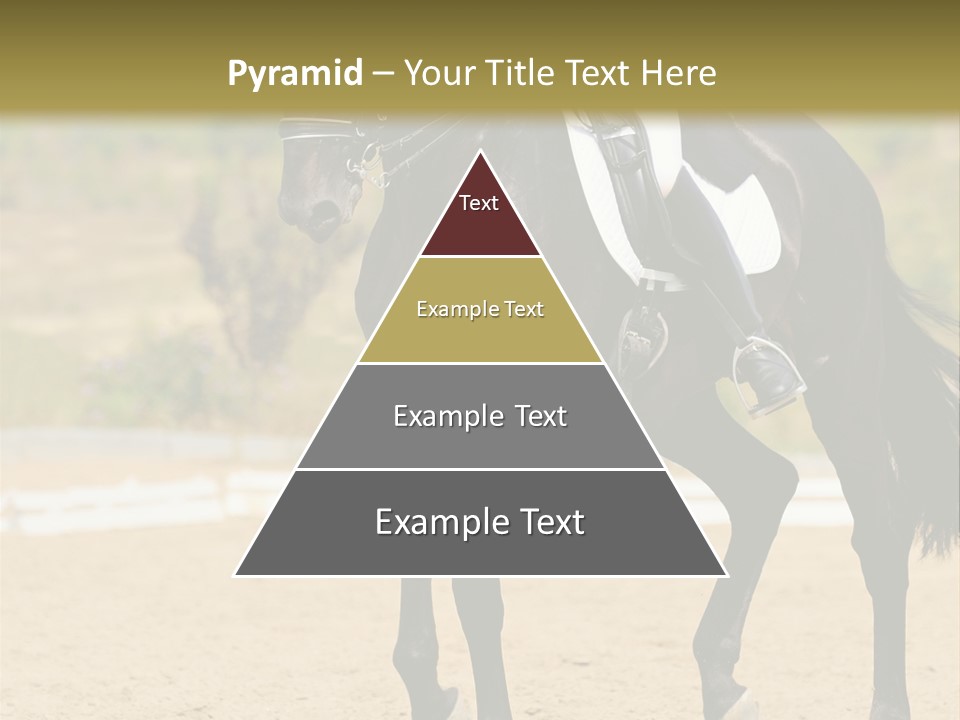 Bridle Dressing Dapple PowerPoint Template