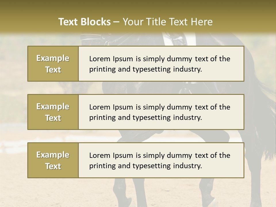 Bridle Dressing Dapple PowerPoint Template