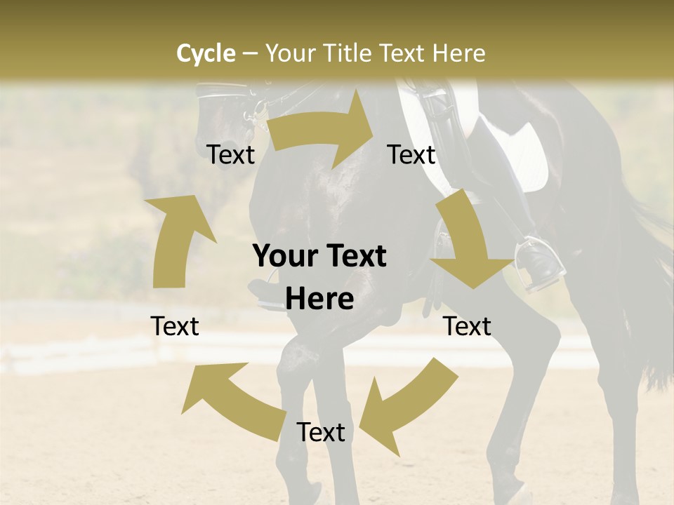 Bridle Dressing Dapple PowerPoint Template