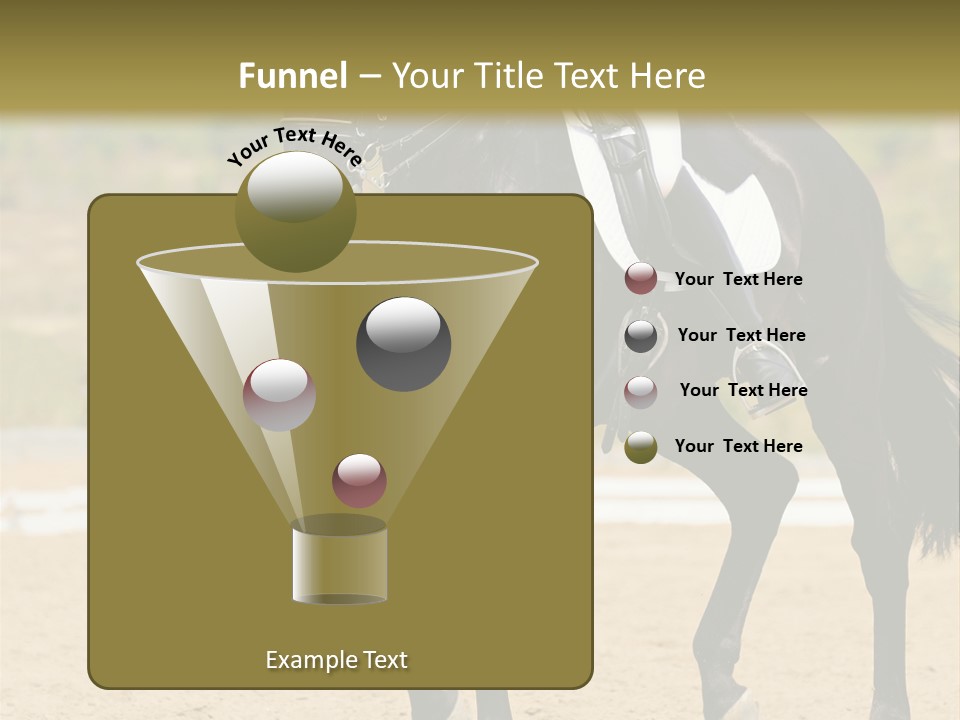 Bridle Dressing Dapple PowerPoint Template