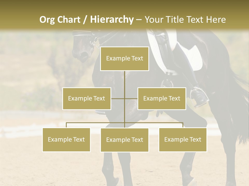 Bridle Dressing Dapple PowerPoint Template