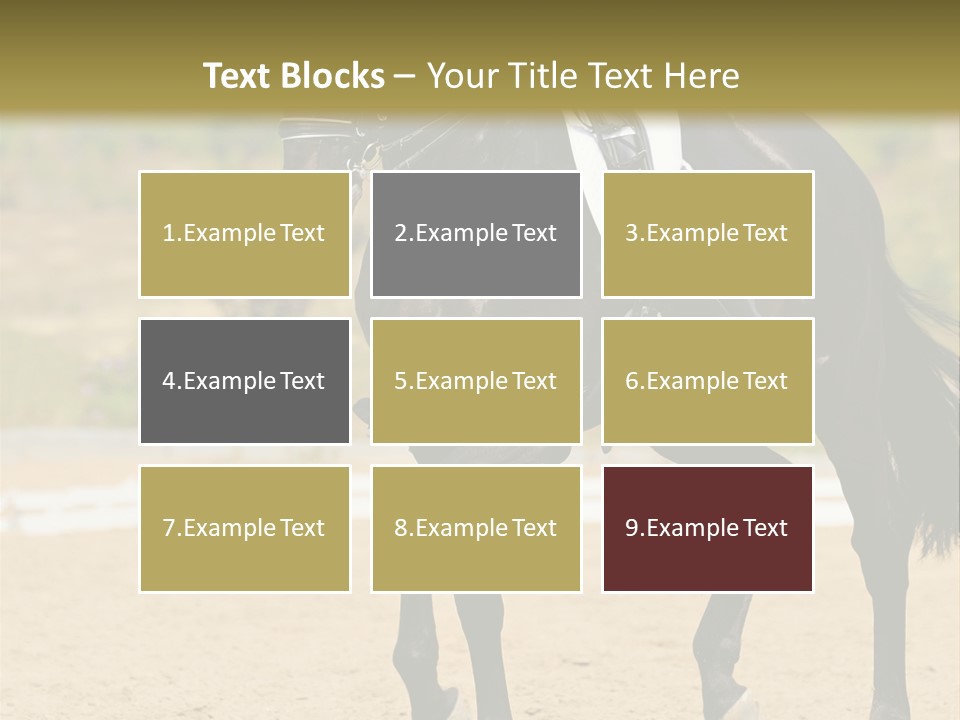 Bridle Dressing Dapple PowerPoint Template