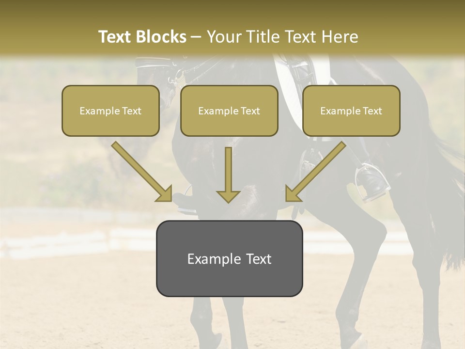 Bridle Dressing Dapple PowerPoint Template