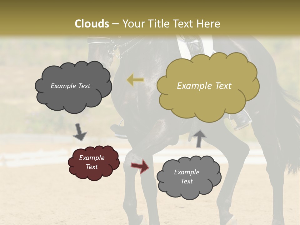 Bridle Dressing Dapple PowerPoint Template