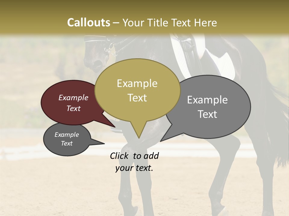 Bridle Dressing Dapple PowerPoint Template