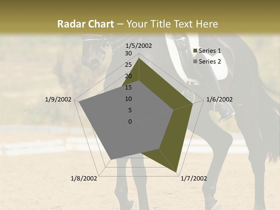 Bridle Dressing Dapple PowerPoint Template