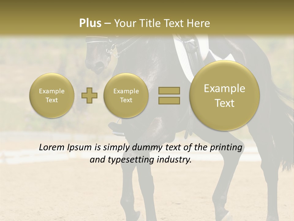 Bridle Dressing Dapple PowerPoint Template