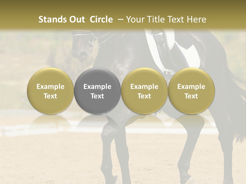 Bridle Dressing Dapple PowerPoint Template